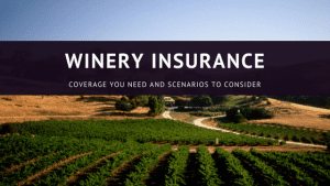 Insurance For Wineries